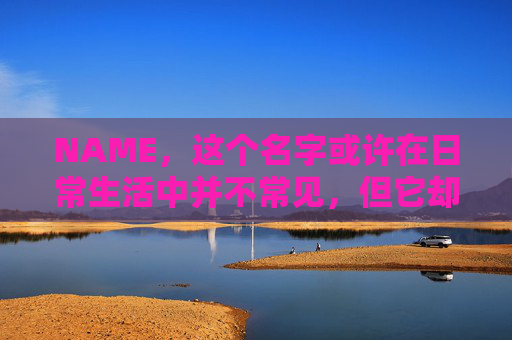 NAME，这个名字或许在日常生活中并不常见，但它却在某些领域里扮演着重要的角色。今天，让我们一起来探索这个名字背后的故事和意义